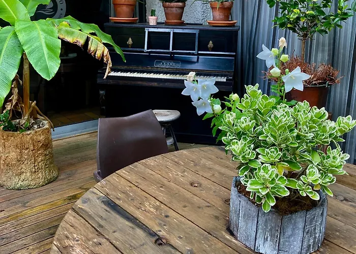 L'ecume Des Jours Сулак-сюр-Мер