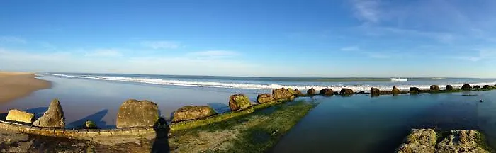 L'ecume Des Jours 2*