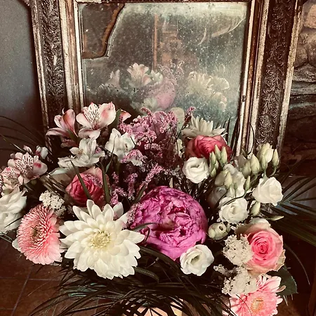 Отель L'ecume Des Jours Сулак-сюр-Мер